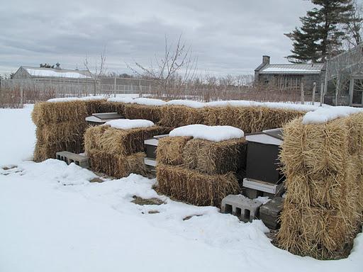 of protective hay bales