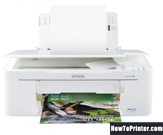 Reset Epson E-330 printer use Epson Waste Ink Pad Counters resetter