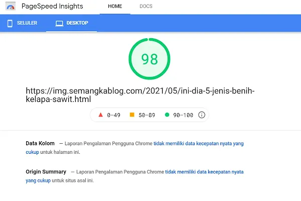 hasil uji webp di pagespeed insight