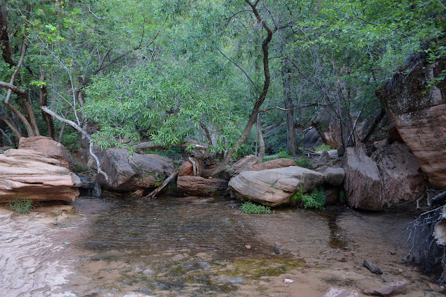 more shallow pool