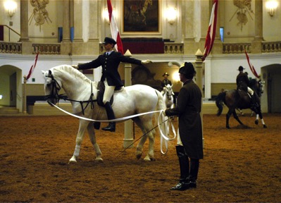 Lipizzan3