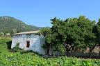 Samos-043-A2