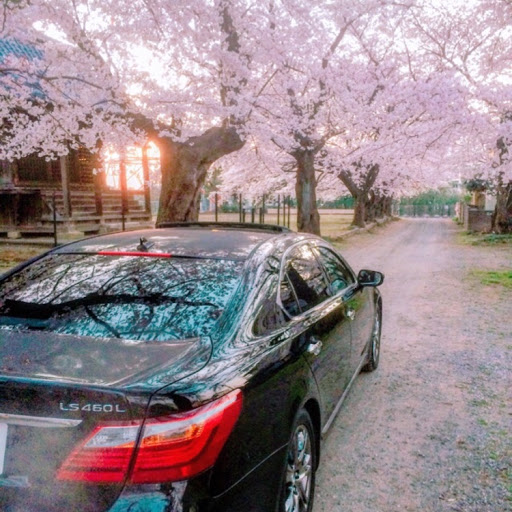 ISSEIのプロフィール画像