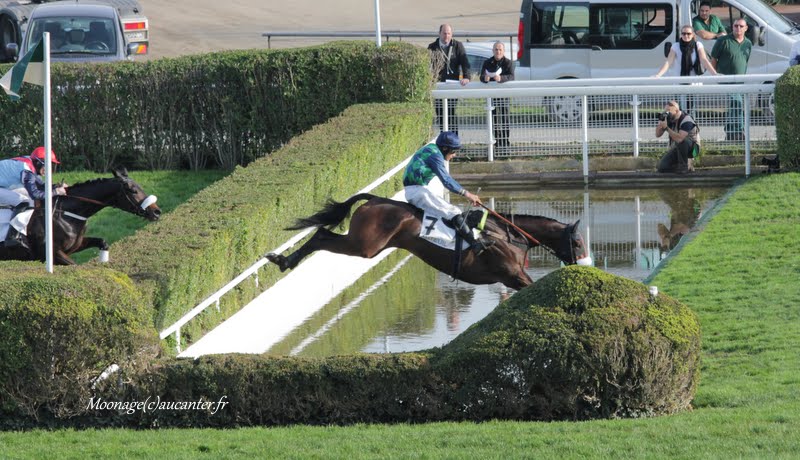 Photos Auteuil 8-11-2015 (48h de l'obstacle) IMG_7023