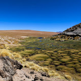 Laguna Colorada, Bolívia