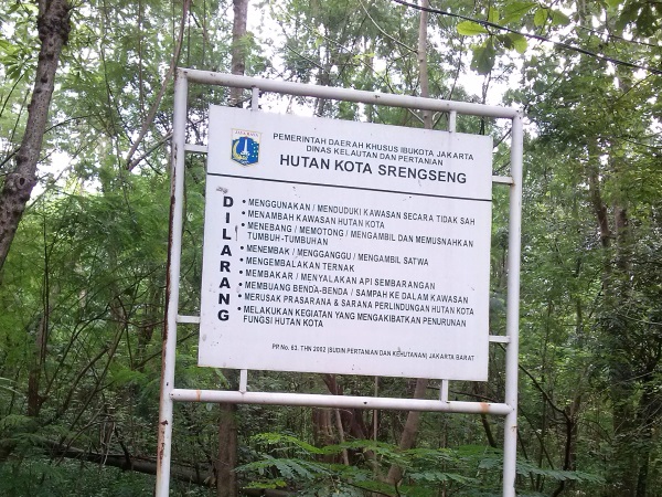 Hutan%2520Kota%2520Srengseng09 Hutan Kota Srengseng, Sejuk Tanpa Ke Puncak