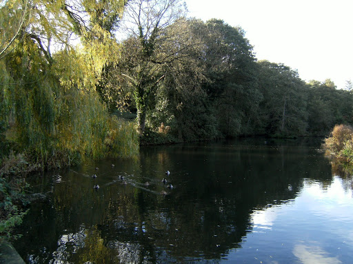 1010300054 Oxted Mill pond