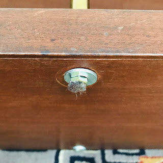 Mahogany and Brass Shelving