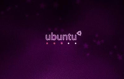 Ubuntu 13.04 e l'idea di portare zRam di default