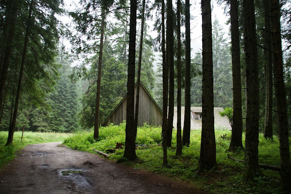 Polana Stara Roztoka widziana z drogi dojazdowej (fot. A.Bakota)