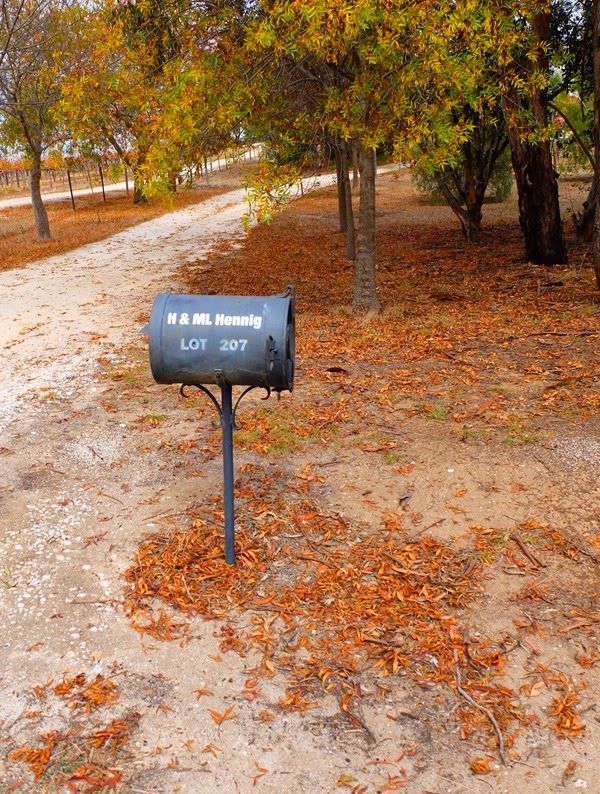 Wishful Thinking - Hahndorf, South Australia