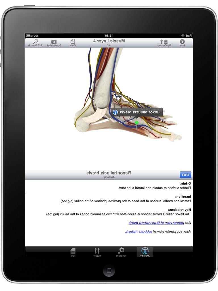 Pocket Body  Musculoskeletal  by Pocket Anatomy screenshot 5