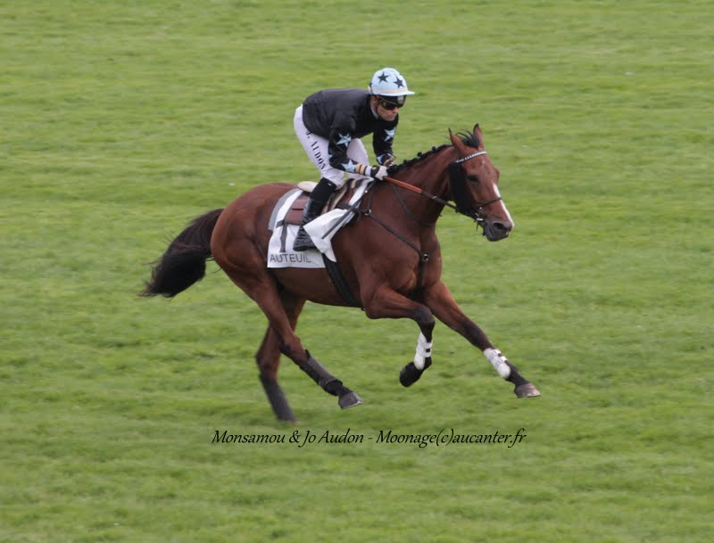 Photos Auteuil 26-09-2015 IMG_3881