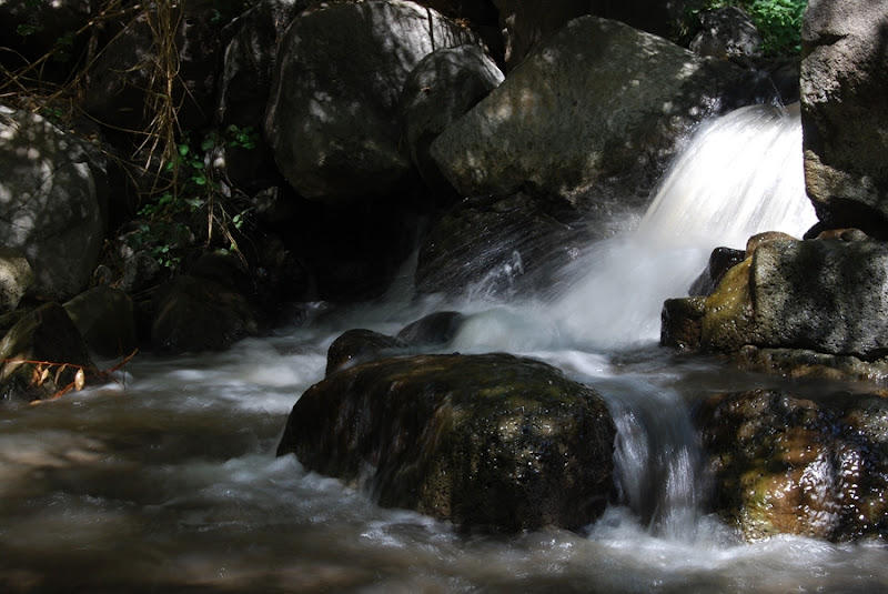 Осенние субтропики: два дня на севере Израиля.