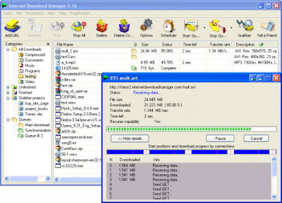 online video download manager