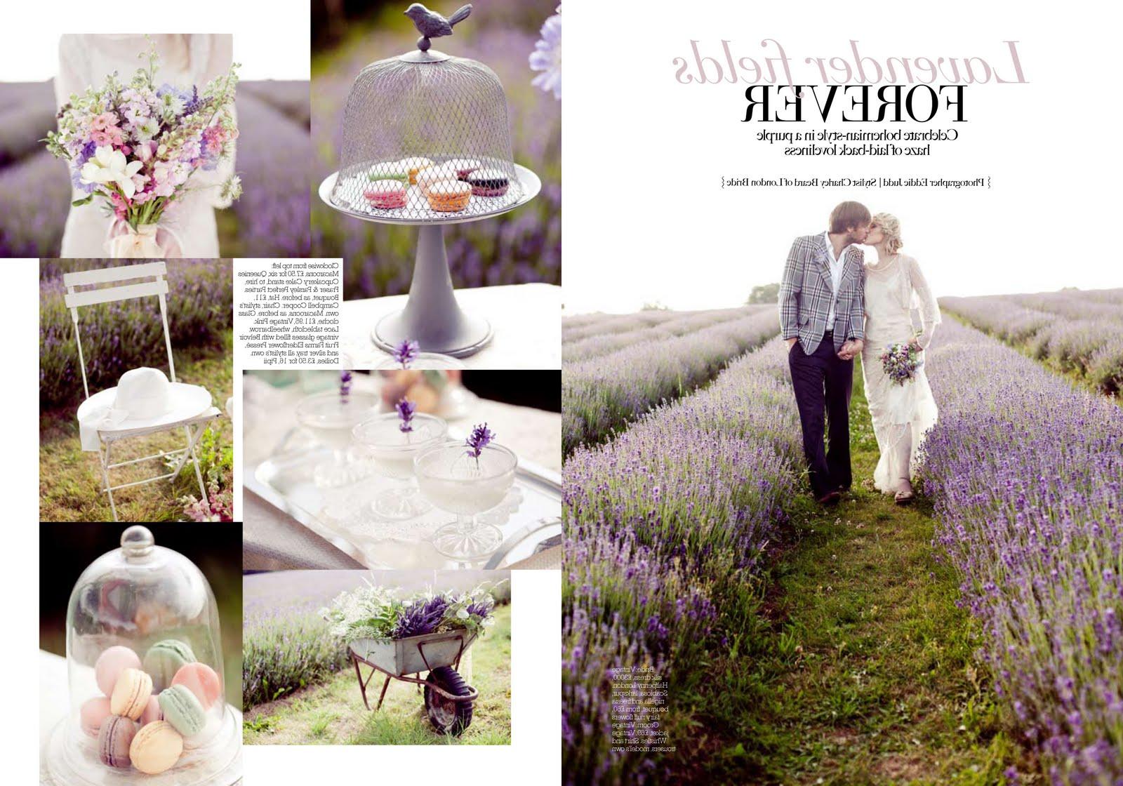 lavender background for