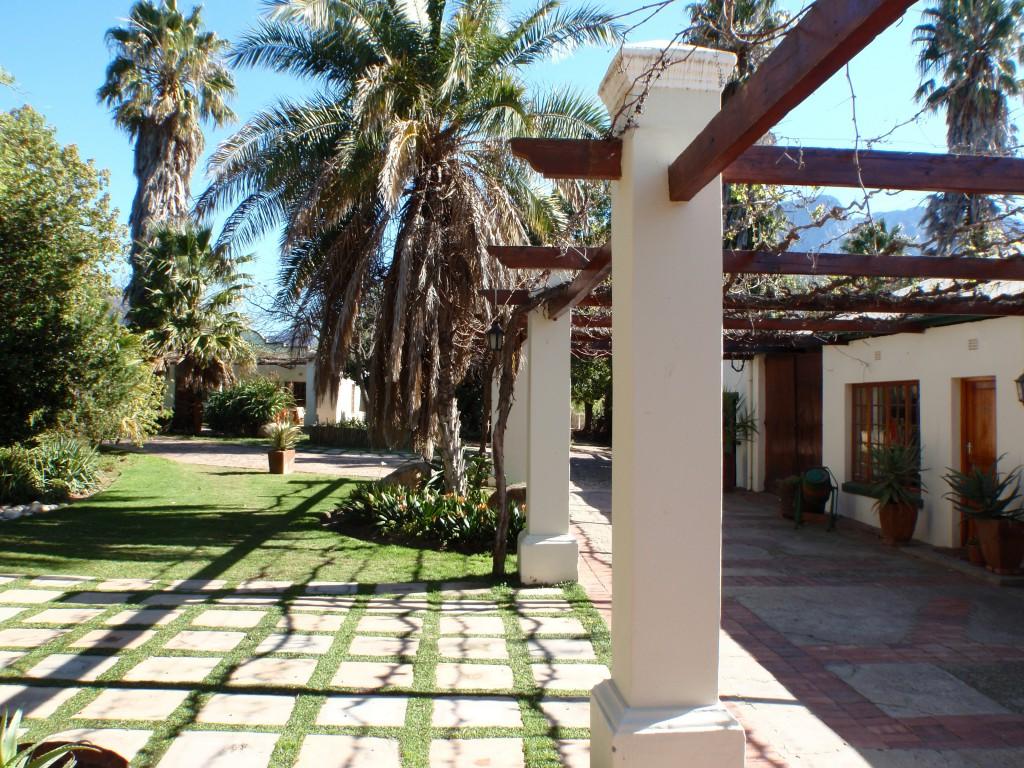 palm tree arch for wedding