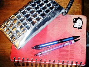 Fashion Blogger, Blogging Tools