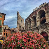 Fiori di maggio  di 