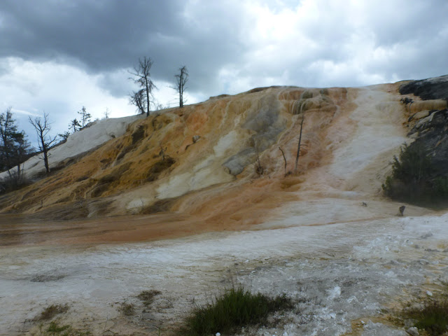 Mammoth Hot Springs. Valle de Lamar. Calcite Springs. Tower Falls. 12 Julio - LAS ROCOSAS DE CANADA. YELLOWSTONE Y GRAND TETON. (26)