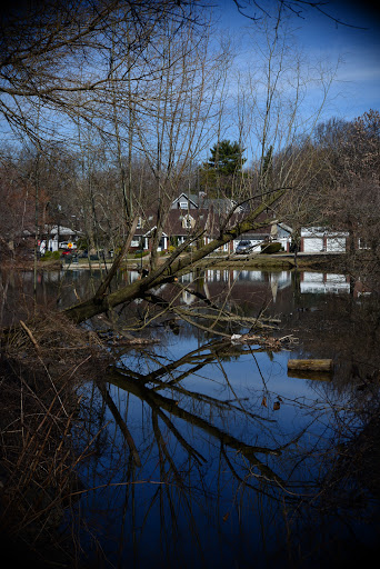 Park «Allison Pond Park», reviews and photos, 406 Prospect Ave, Staten Island, NY 10301, USA