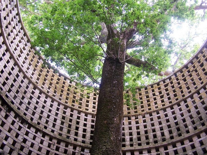 oak-dovecote-pouzay-1