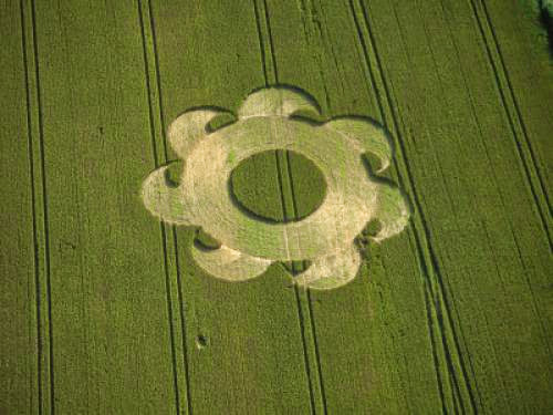 Crop Circles What Are They