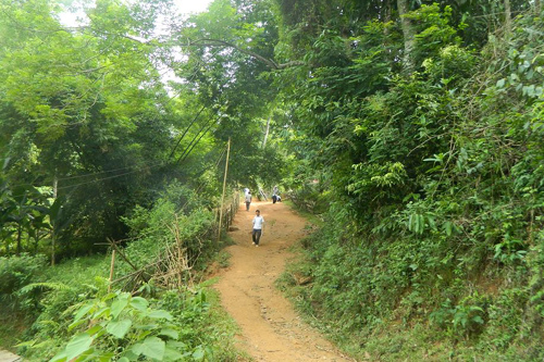 Hinh anh: Con duong nho dan vao nha vo chong ong Dan