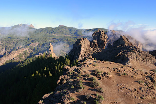 GRAN CANARIA MAR Y MONTE - Blogs de España - DUNAS DE MASPALOMAS, TEJEDA, ROQUE NUBLO (19)