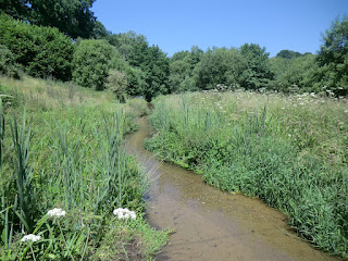 CIMG7569 Law Brook