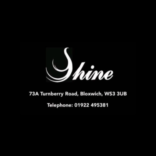 Shine hair logo