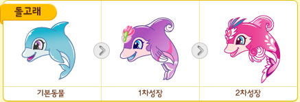 파일:/new_pet/growth/dolphin_growth.jpg