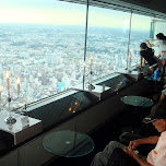 enjoyable view of yokohama in Yokohama, Japan 