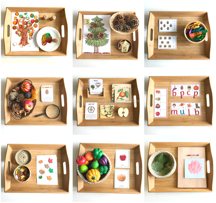 Fall Sensory Trays for Little Kids  Montessori toddler activities, Montessori  trays, Montessori