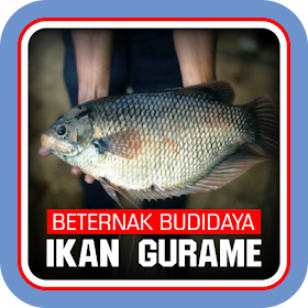 ♌ Mimpi melihat ikan nila togel