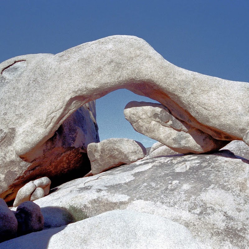 Elephant Rock JoshTree_26.jpg
