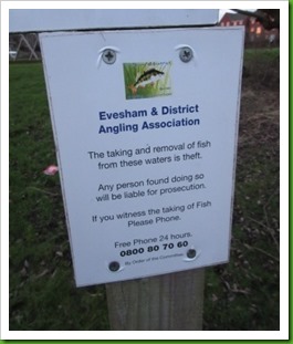 Riverside Fishing Poster