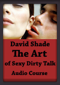 Cover of David Shade's Book The Art Of Sexy Dirty Talk.mp3