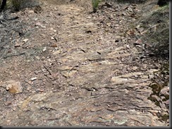 171107 121 Warrumbungles Wambelong Nature Trail