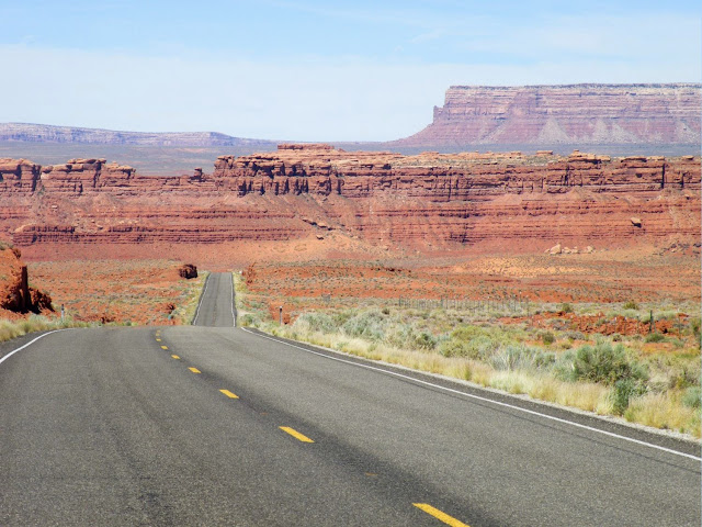 DIA-8. GOOSENECKS Y MONUMENT VALLEY - Los fascinantes parques del oeste americano. (12)