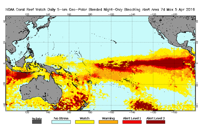 NOAA Daily 5-km Satellite Coral Bleaching Thermal Stress Monitoring, 5 April 2016. Graphic: NOAA