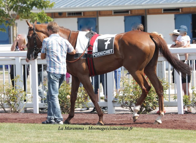 Photos Pornichet le 7-08-2015 IMG_3304