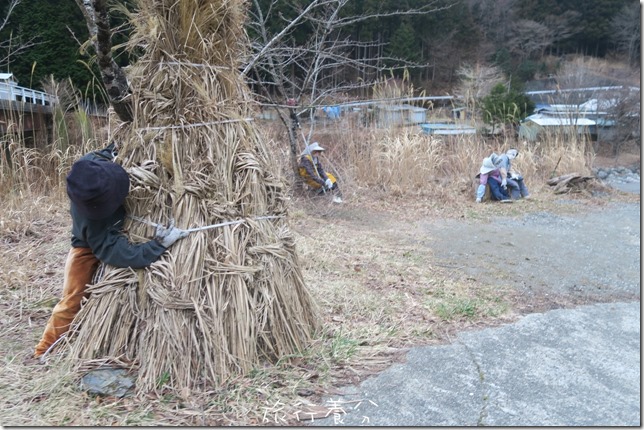 德島 稻草人之村 (名頃のかかしの里) (27)