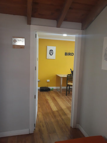 Black Bird Studios