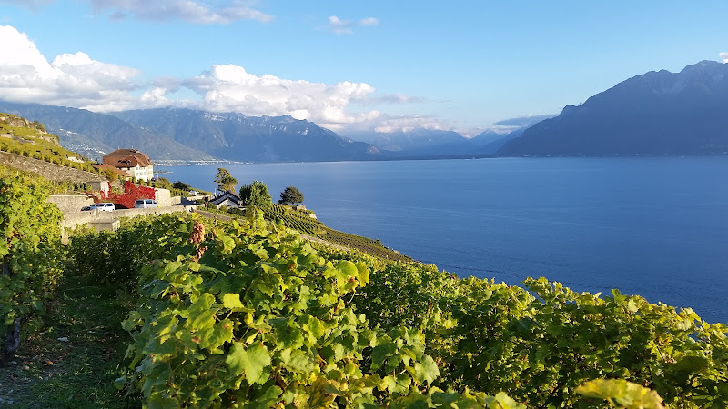 Hauptbild von Domaine des Faverges