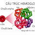 Hb và HbA1C khác nhau như thế nào?