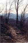 Trail on the ridge, Massanutten Mountain, George Washington National Forest, Virginia.