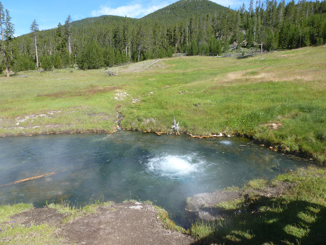 PN Yellowstone. Madison. Valle río Gibbon. Norris Geyser Basin. 12 Julio - LAS ROCOSAS DE CANADA. YELLOWSTONE Y GRAND TETON. (2)