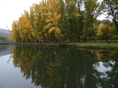 Soria y Calatañazor - Los colores del otoño por tierras del Duero: Soria y alrededores con niños (7)