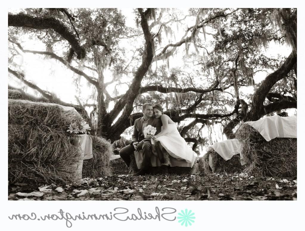 Sarasota Ranch Wedding